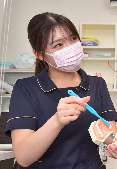 歯ブラシと歯の模型を持つスタッフ