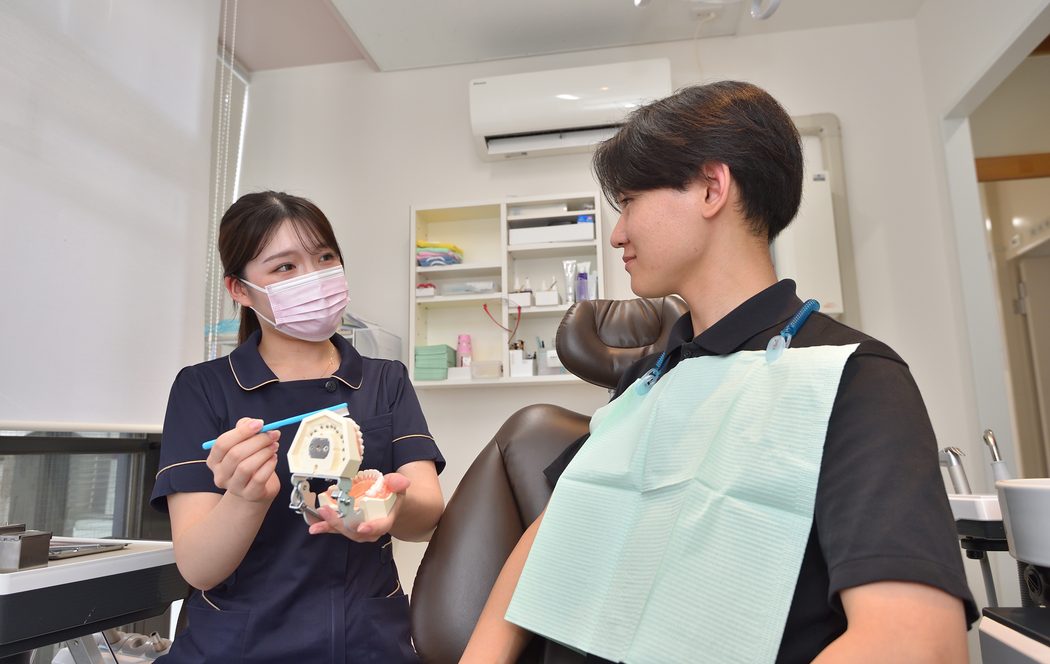歯の模型で説明する歯科衛生士と患者